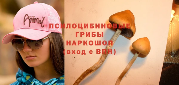 а пвп мука Баксан