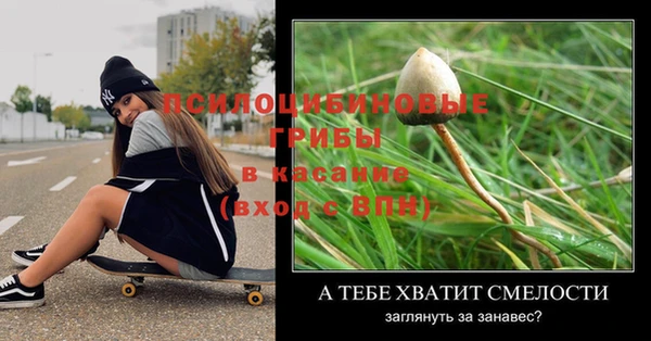 дживик Балахна