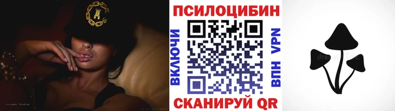 магазин продажи   Куса  Галлюциногенные грибы мицелий 