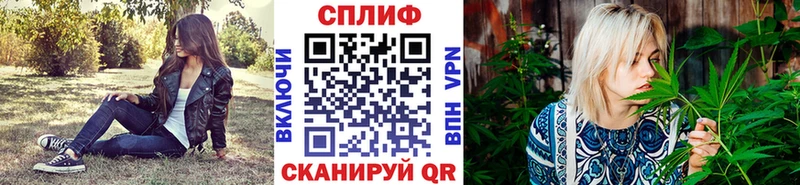 блэк спрут рабочий сайт  Куса  это как зайти  Марихуана гибрид 